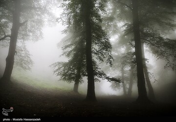 عملیات جستجو برای یافتن دختر گمشده