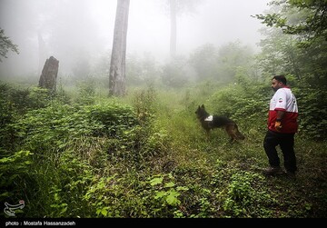 عملیات جستجو برای یافتن دختر گمشده