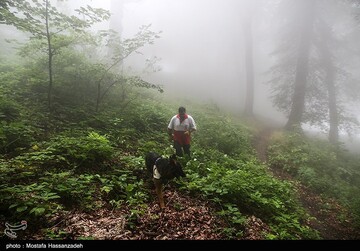 عملیات جستجو برای یافتن دختر گمشده