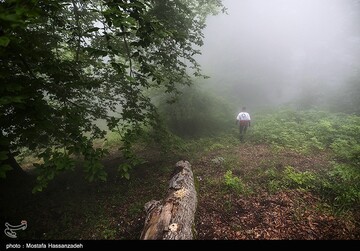 عملیات جستجو برای یافتن دختر گمشده