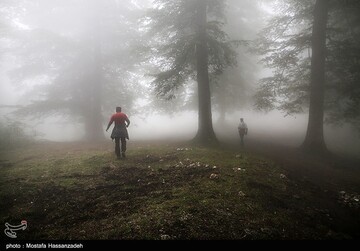 عملیات جستجو برای یافتن دختر گمشده