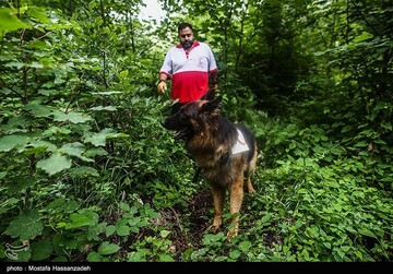 عملیات جستجو برای یافتن دختر گمشده