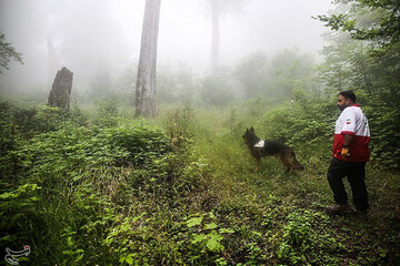 ببینید | عملیات جستجو برای یافتن دختر گمشده در جنگل‌های گلستان