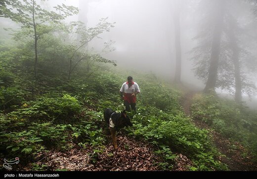 عملیات جستجو برای یافتن دختر گمشده