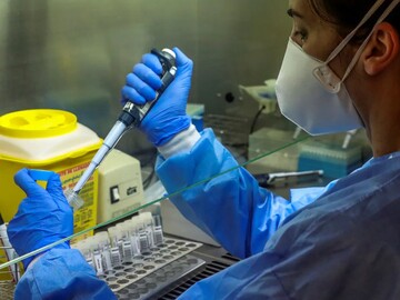 شناسایی سلول‌های ایمنی مصون در برابر ویروس کرونا