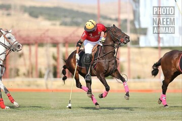 دیدار دوستانه چوگان نیروی زمینی ارتش