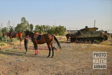 دیدار دوستانه چوگان نیروی زمینی ارتش