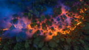 تصاویر | آتش سوزی در جنگل‌های سیبری
