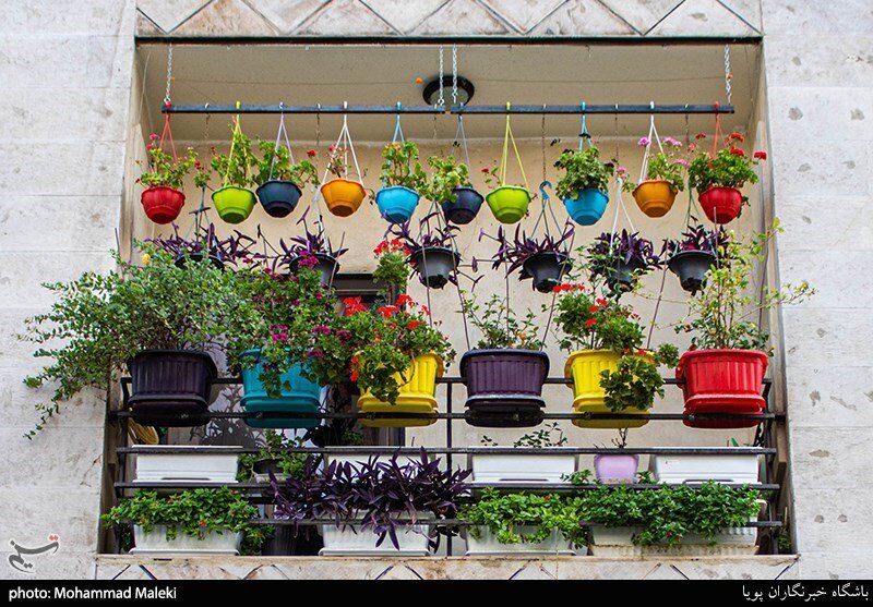 سهم ما از زیبایی شهر