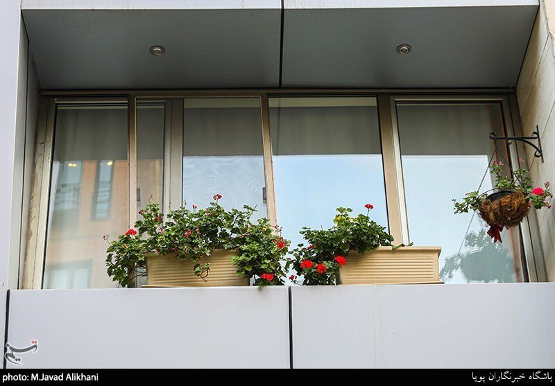 سهم ما از زیبایی شهر