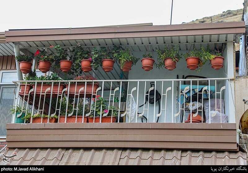 سهم ما از زیبایی شهر