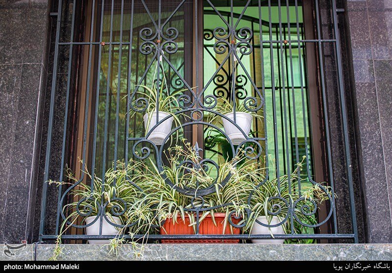 سهم ما از زیبایی شهر