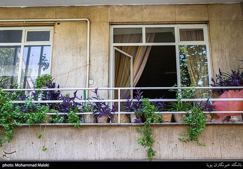 سهم ما از زیبایی شهر