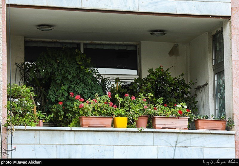 سهم ما از زیبایی شهر
