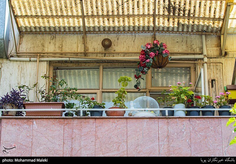 سهم ما از زیبایی شهر