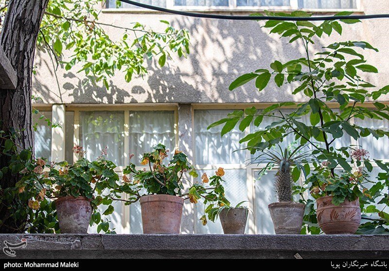 سهم ما از زیبایی شهر