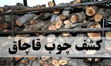 کشف ۶۰۰ کیلو چوب بلوط قاچاق در "لردگان" 