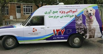 آمبولانس ویژه جمع‌آوری حیوانات بی‌پناه  در ارومیه راه‌اندازی شد