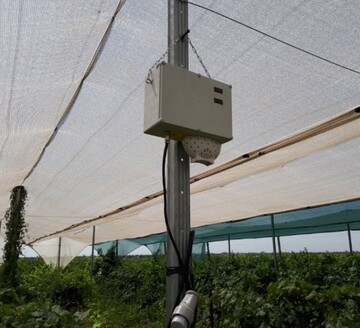 نصب سامانه هواشناسی هوشمند در ایستگاه تحقیقات انگور تاکستان