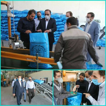 ‍ فرآوری ۲۰ هزار تن بذر اصلاح شده گندم