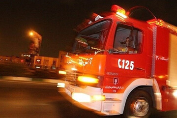 جغد بازیگوش مهمان ناخوانده یک خانواده مهابادی شد/ تصاویر
