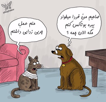 یکی به داد این حیوانات برسه!