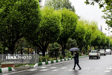 بارش باران در محورهای البرز و تهران