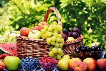 قیمت میوه از باغ تا مغازه چقدر افزایش می یابد؟
