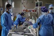 آخرین یافته درباره کرونا: ۲۴ درصد بیماران بستری فوت می کنند