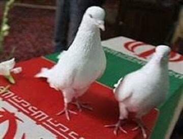 جانباز ۷۰ درصد مشهدی به کاروان شهدا پیوست 