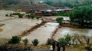 سیل ابتدای مردادماه بیش از ۳ هزار میلیارد ریال به کشاورزی خسارت زد 