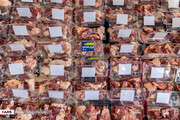 ببینید | توزیع ۱.۵ تُن گوشت گوسفندی قربانی در شیراز