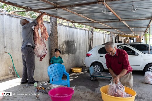 آماده‌سازی و توزیع ۱.۵ تُن گوشت گرم گوسفندی قربانی در شیراز