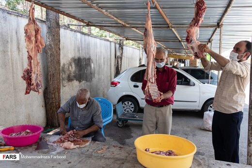 آماده‌سازی و توزیع ۱.۵ تُن گوشت گرم گوسفندی قربانی در شیراز