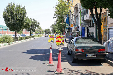 جای پارک اختصاصی با کله قندی!