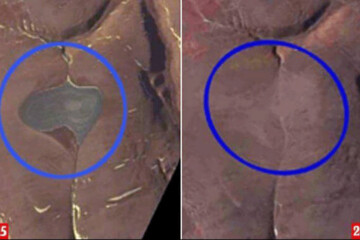 ببینید | تصاویر ناسا از وضعیت بد گرمایش زمین 