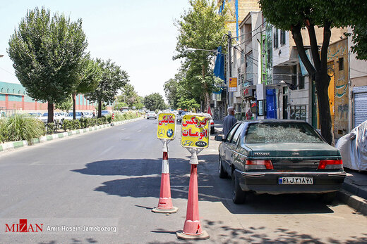 جای پارک اختصاصی با کله قندی!