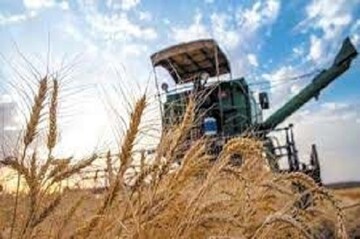 ۱۸ هزار تن گندم از کشاورزان خراسان جنوبی خریداری شد