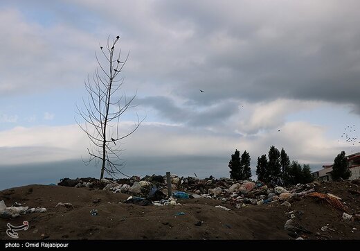 همنشینی زباله و ساحل در کلاچای گیلان