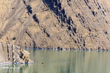 بی رحمی رودخانه کرج