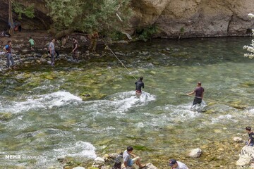 بی رحمی رودخانه کرج