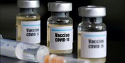 توضیحات رییس انستیتو پاستور درباره کارایی واکسن کرونای روسی