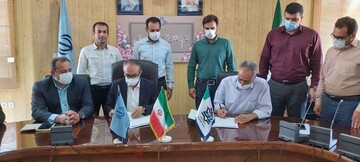 گام‌های علمی سازی رشته والیبال با راه‌اندازی رشته تخصصی دانشگاهی در ارومیه