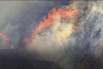 قوانین آمریکا برای مقابله با آتش‌سوزی در جنگل‌ها/ جریمه ۳۶میلیون دلاری یک نوجوان بخاطر سوزاندن جنگل