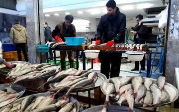 ۲۰۰ گرم فیله ماهی ۳۰۰ هزار تومان/ جدول قیمت انواع ماهی در بازار