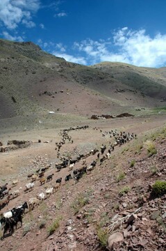 مراتب ثبت ملی ۱۳ میراث ناملموس به استاندار سمنان ابلاغ شد