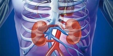 ببینید | چگونه از کلیه‌ها در ماه رمضان محافظت کنیم؟