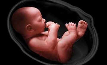 گزارش روزنامه شرق در باره زنان مستمندی که برای دیگران باردار می شوند/ خدا کند به نوزادی که بدنیا می آید وابسته نشوم