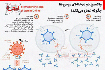 ببینید | واکسن دو مرحله‌ای روس‌ها چگونه عمل می‌کند؟