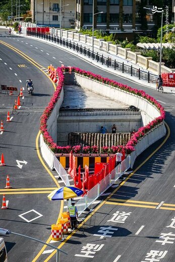 خانه‌ای در وسط اتوبان